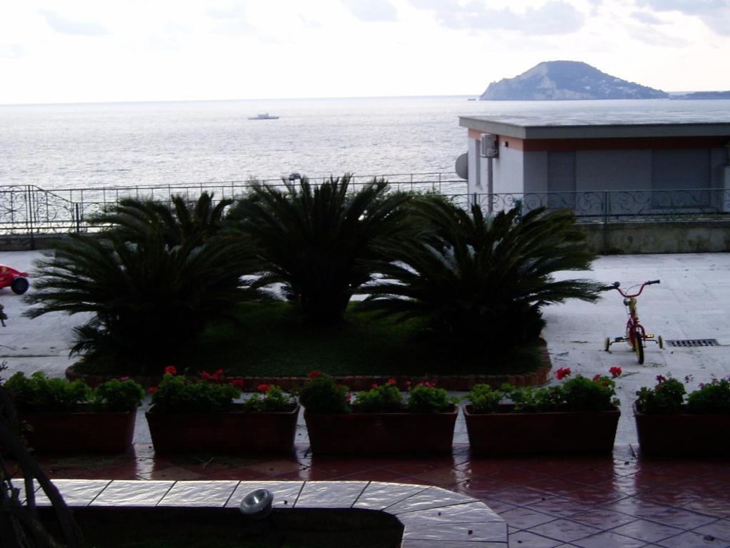 Miramare Residence Pozzuoli Szoba fotó